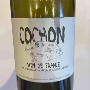 Domaine de Sulauze - Karina & Guillaume Lefèvre - Cochon