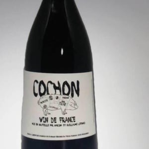 Domaine de Sulauze - Karina & Guillaume Lefèvre - Cochon