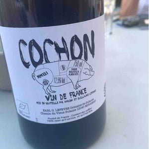 Domaine de Sulauze - Karina & Guillaume Lefèvre - Cochon