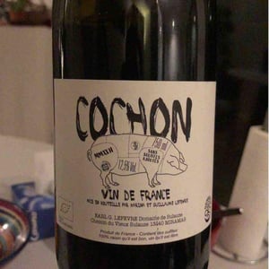 Domaine de Sulauze - Karina & Guillaume Lefèvre - Cochon