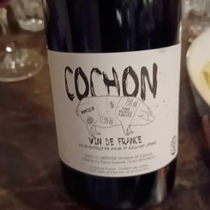 Domaine de Sulauze - Karina & Guillaume Lefèvre - Cochon