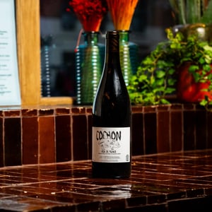 Cochon - Domaine de Sulauze - karina-guillaume-lefevre