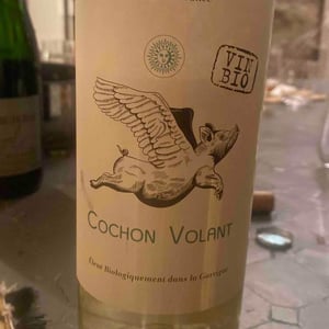 Cochon volant - Chateau de Caraguilhes - benjamin-brunel -2022