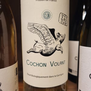 Cochon volant - Chateau de Caraguilhes - Benjamin Brunel -2022
