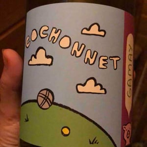 Cochonnet Gamay - Luberon, France - yoann-malandain-michael-renaud