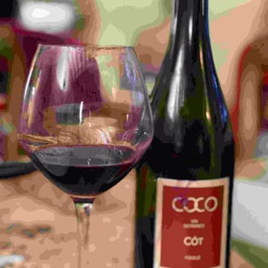 Coco Côt - Domaine des Maisons Brûlées - corinne-paul-gillet