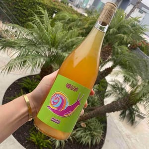 Coco - Cantina Indigeno (TEMPORARILY CLOSED) - alfredo-giugno-loreto-lamolinara-nicola-reginaldi