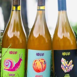 Coco - Cantina Indigeno (TEMPORARILY CLOSED) - alfredo-giugno-loreto-lamolinara-nicola-reginaldi
