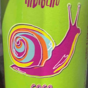 Coco - Cantina Indigeno (TEMPORARILY CLOSED) - Alfredo Giugno, Loreto Lamolinara, Nicola Reginaldi 