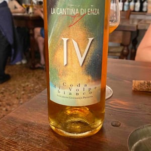 Coda Di Volpe - Terra Di Briganti - Filomena Casbarra 