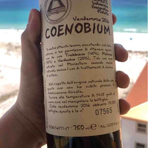 Coenobium - Monastero Trappiste Vitorchiano - Suor Adriana & Giampiero Bea 