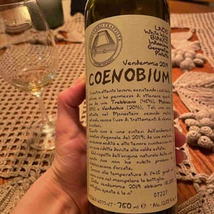 Coenobium - Monastero Trappiste Vitorchiano - suor-adriana-giampiero-bea