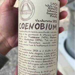 Coenobium - Monastero Trappiste Vitorchiano - Suor Adriana & Giampiero Bea 