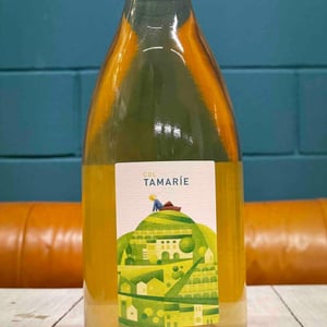 Col Tamarìe - Col Tamarie - alberto-dalle-crode
