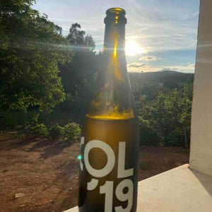 COL - Tillingham Wines - ben-walgate -2019