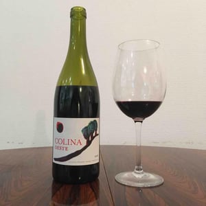 Colina Oeste - Domaine Entras - Michel Maestrojuan -2016