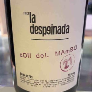 Coll Del Mambo - Finca la Despeinada - petra-y-alex -21