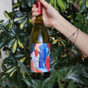 Collage Blanco - Vinos Pijoan - Silvana Pijoan -2022