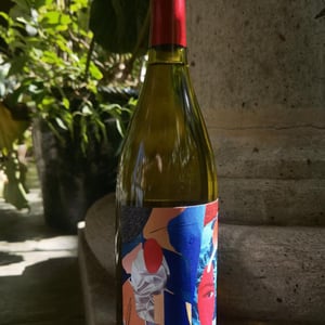 Collage Blanco - Vinos Pijoan - silvana-pijoan -2022
