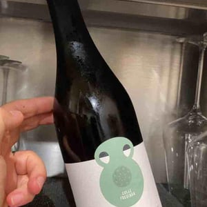 Colle Fregiara - Società Agricola Annesanti - Francesco Annesanti -2019