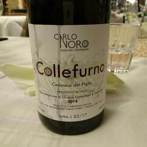 Collefurno - Biodinamica Carlo Noro - simone-valerio-noro