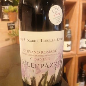 COLLEPAZZO - Cantine Riccardi Reale - piero-riccardi-lorella-reale