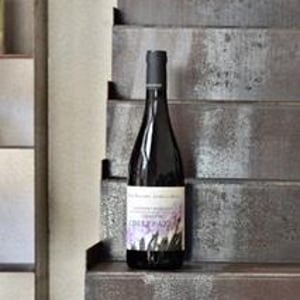 COLLEPAZZO - Cantine Riccardi Reale - Piero Riccardi & Lorella Reale 