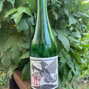 Furmint - Kolonia 52 - Annamaria Torok & Attila Francisti -2022