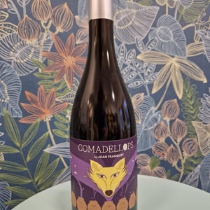 Comadellops Violeta - Costador Terroirs Mediterranis - joan-franquet