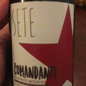 Comandante - Sete - Vini Naturali - emiliano-giorgi-arcangelo-galuppi-martina-dalessio