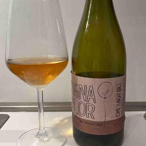 Come Lunghi Baci - Vigna Flor - davide-boldrin-francesca-gozzo -2021