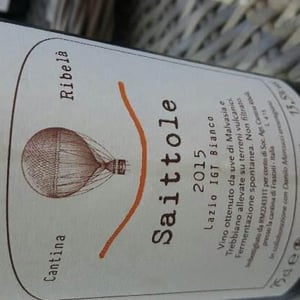 Cantina Ribelà - Chiara Bianchi & Daniele Presutti - Saittole