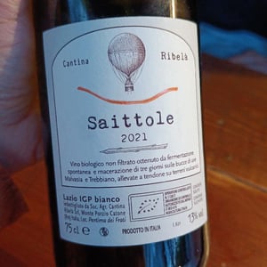 Saittole - Cantina Ribelà - Chiara Bianchi & Daniele Presutti 