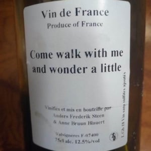 Come walk with me and wonder a little - Anders Frederik Steen & Anne Bruun Blauert - Anders Frederik Steen & Anne Bruun Blauert 