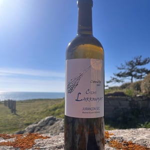 Comète - Clos Larrouyat - maxime-lucie-salharang -2020