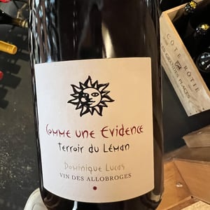 Comme une évidence - Les Vignes de Paradis - dominique-lucas