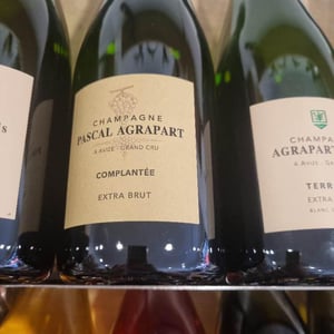 Complantée Extra Brut Grand Cru - Champagne Agrapart & Fils - Nathalie & Pascal Agrapart 