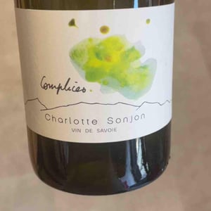 Complices - Charlotte Sonjon - charlotte-sonjon -2022