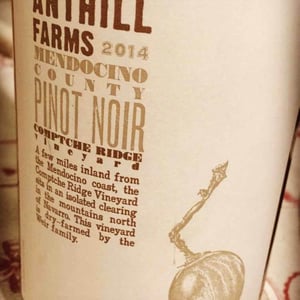 Comptche Ridge Vineyard Pinot Noir - Anthill Farms - anthony-filiberti-dave-low-webster-marquez
