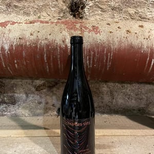 Concerto Di Venezia - Les Vignes de l'Angevin - jean-pierre-robinot -2019