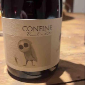 Confine Vecchie Viti - Podere Sottoilnoce - max-brondolo