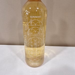 Connexio Cosmica - Còsmic Vinyaters - salvador-batlle-barrabeig
