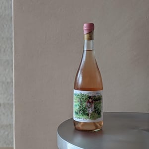 Constança Vai à Vinha - Nas Rosas - Herdade dos Outeiros Altos - fernanda-rodrigues -2024