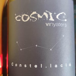 Constellacio - Còsmic Vinyaters - salvador-batlle-barrabeig -2021