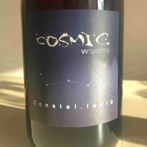 Constel.lació - Còsmic Vinyaters - Salvador Batlle Barrabeig 