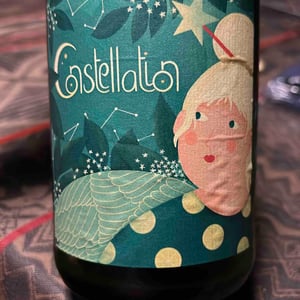 Constellation - Les Bois Perdus - lena-perdu-alexis-robin -2023