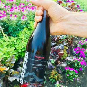Contadino - Azienda Agricola Frank Cornelissen - frank-cornelissen