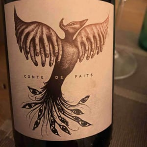 Conte De Faits - L'Ambitio - Romuald Cousy 