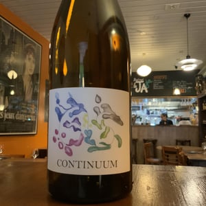 Continuum - Domaine des 2 Fauves - laura-soldan-charles-henri-quantin