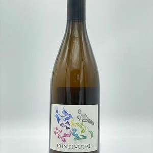 Continuum - Domaine des 2 Fauves - laura-soldan-charles-henri-quantin